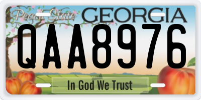 GA license plate QAA8976