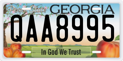 GA license plate QAA8995