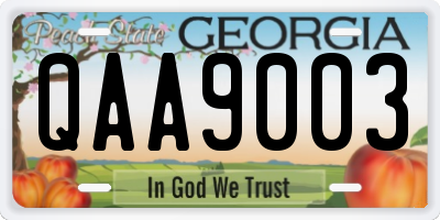 GA license plate QAA9003