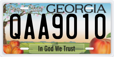 GA license plate QAA9010