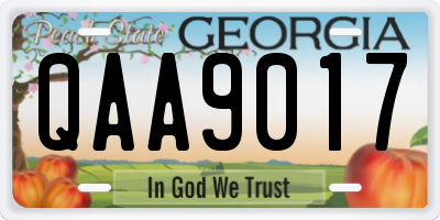 GA license plate QAA9017