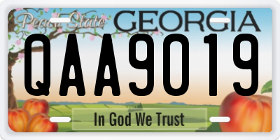 GA license plate QAA9019