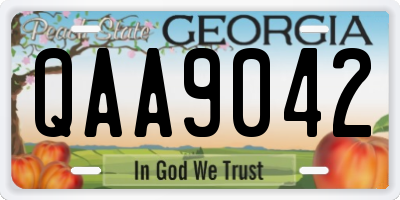 GA license plate QAA9042