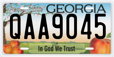 GA license plate QAA9045