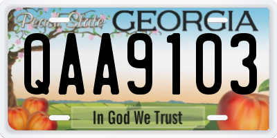 GA license plate QAA9103