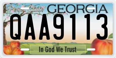 GA license plate QAA9113