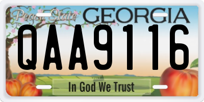 GA license plate QAA9116