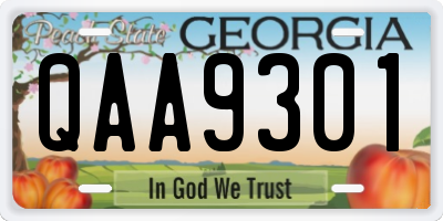 GA license plate QAA9301