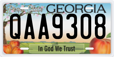 GA license plate QAA9308