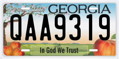 GA license plate QAA9319