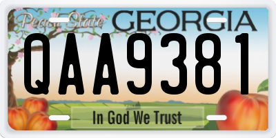 GA license plate QAA9381