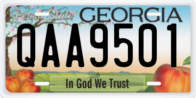 GA license plate QAA9501