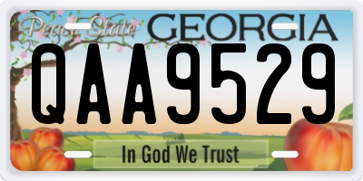 GA license plate QAA9529