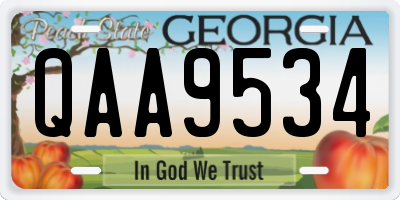 GA license plate QAA9534
