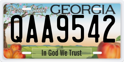 GA license plate QAA9542