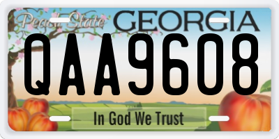 GA license plate QAA9608