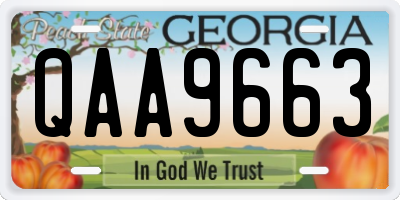 GA license plate QAA9663