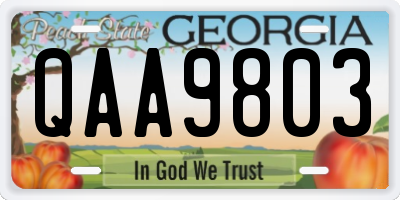 GA license plate QAA9803