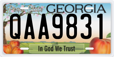 GA license plate QAA9831