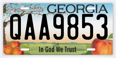 GA license plate QAA9853