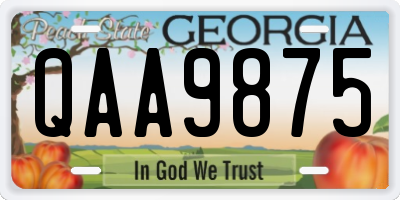 GA license plate QAA9875