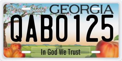 GA license plate QAB0125