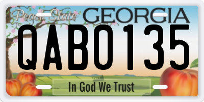 GA license plate QAB0135
