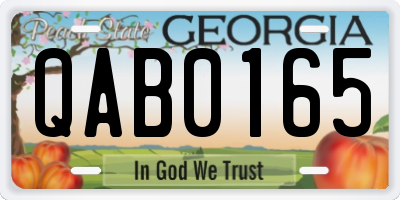 GA license plate QAB0165