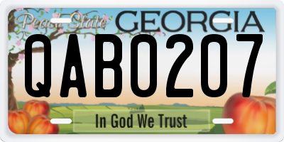 GA license plate QAB0207