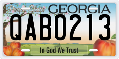 GA license plate QAB0213