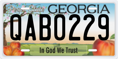GA license plate QAB0229