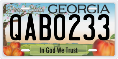 GA license plate QAB0233