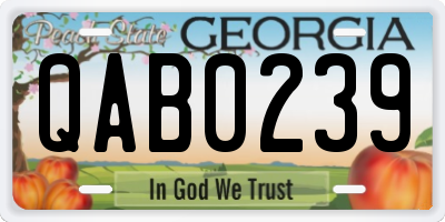 GA license plate QAB0239