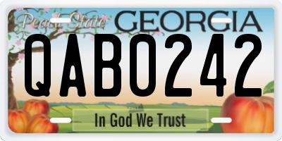 GA license plate QAB0242