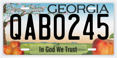GA license plate QAB0245