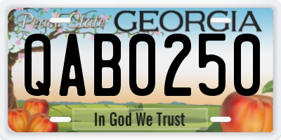 GA license plate QAB0250
