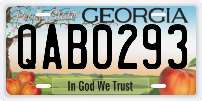 GA license plate QAB0293
