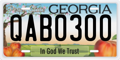 GA license plate QAB0300