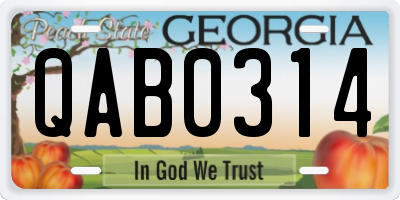 GA license plate QAB0314
