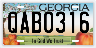 GA license plate QAB0316