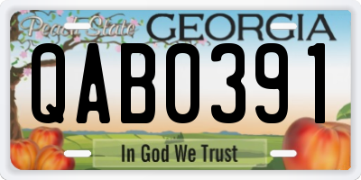 GA license plate QAB0391