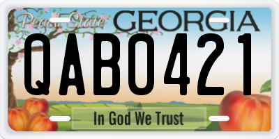 GA license plate QAB0421