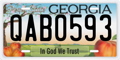GA license plate QAB0593