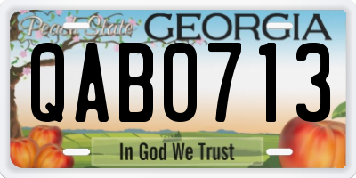 GA license plate QAB0713
