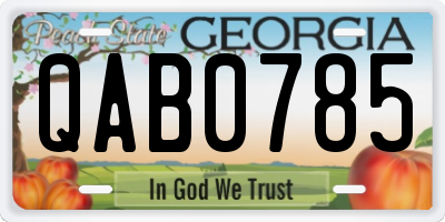 GA license plate QAB0785