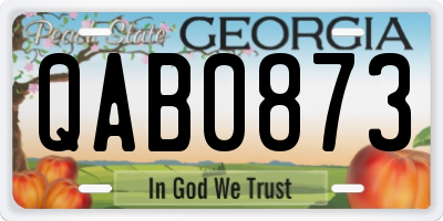 GA license plate QAB0873