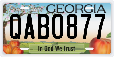 GA license plate QAB0877