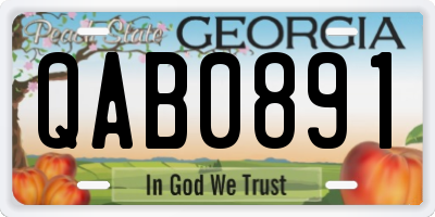 GA license plate QAB0891