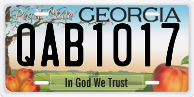 GA license plate QAB1017