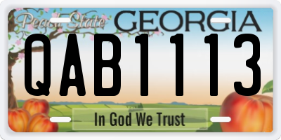 GA license plate QAB1113